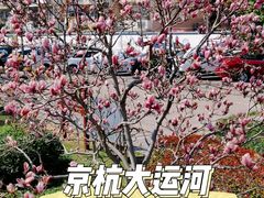 -运河游船(武林门码头)