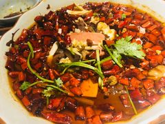 -猫头婴小酒馆FUN OWL(1912店)