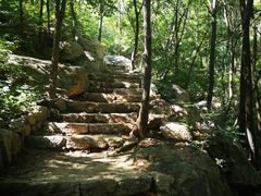 -大岭沟猕猴桃谷风景区