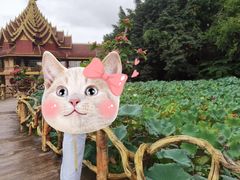 -曼听御花园