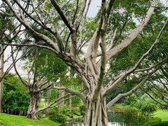 -云溪植物园