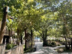 -海南清水湾莱佛士酒店