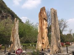 -金钉子远古世界景区