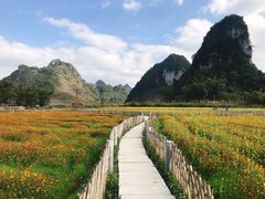 -靖西鹅泉风景区