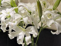 -悦融·京鲁菜·露台花园(安定门店)