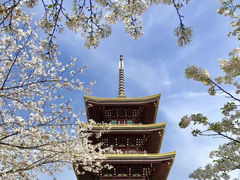 -东湖磨山景区