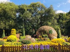 -上海共青森林公园