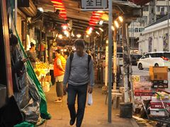 -油麻地果栏