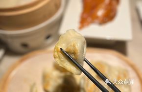 Cabbage and Pork Dumplings
