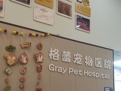 -格蕾宠物医院24H·猫科·肿瘤科·骨科中心(福州总院)