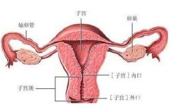 -邢台妇产医院