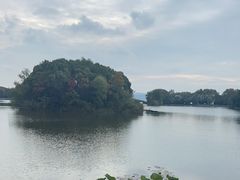 -上海市保健医疗中心