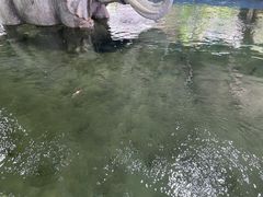 -光头佬钓虾场·烧烤·聚餐·亲子(金沙洲店)