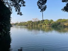 -小洲村