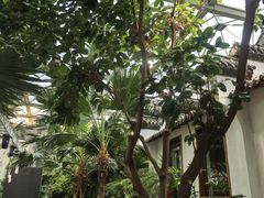 -忆江南·生态餐饮宴会酒店