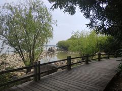 -吴淞炮台湾湿地森林公园烧烤区