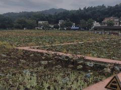 -红山村