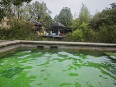 -咸宁万豪温泉谷度假区