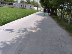 -崖口红树林海鲜餐厅