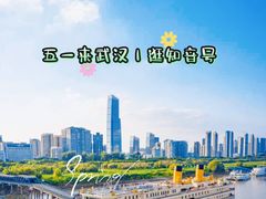 -武汉知音号