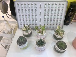 -洗脸猫·洗脸吧