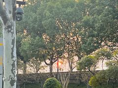 -武昌江滩
