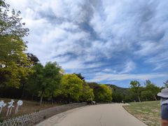 -北京西山国家森林公园