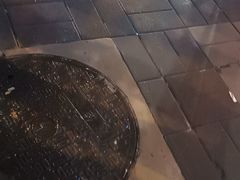 -Global酒吧(五道口店)