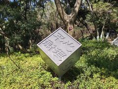 -攀枝花公园