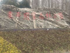 -东平国家森林公园
