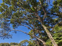 -梧桐山风景名胜区