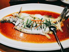 -丹江渔村(望京店)