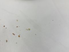 -粤盛海鲜平价店(洛溪食街店)