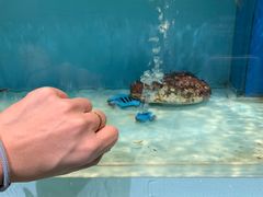 -盒马鲜生(顺义店)