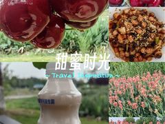 -两河城市森林公园