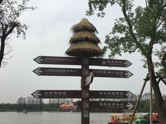 -上海长兴岛郊野公园