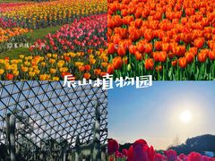 -上海辰山植物园