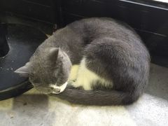 -MIKAKU(万达广场上海宝山店)