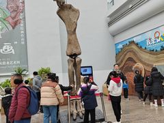 -自贡恐龙博物馆