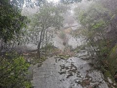 -缙云山景区