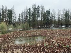 -百翠山居.家飨餐厅