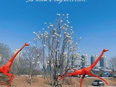 -北运河水利风景区