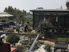 -蘇河湾·新鲁菜·泰山宴(泰山店)