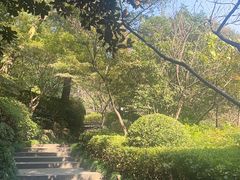 -杭州半山国家森林公园