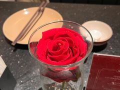 -华豫川酒家(大卫城店)