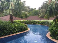 -椰树岛海滩度假村