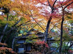 -常寂光寺