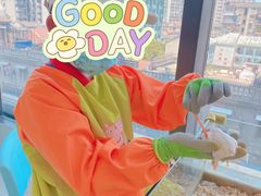 -怪兽屋·羊驼·猫咖·狗咖(俊华广场店)