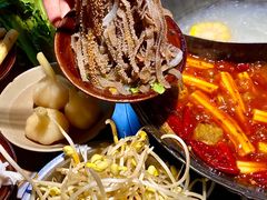 -阳阳老火锅(小南门店)