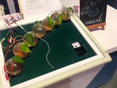 -中国宋庆龄青少年科技文化交流中心